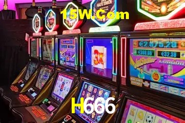 H666 - Support