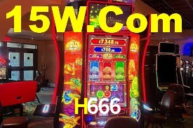 Premium Interface H666